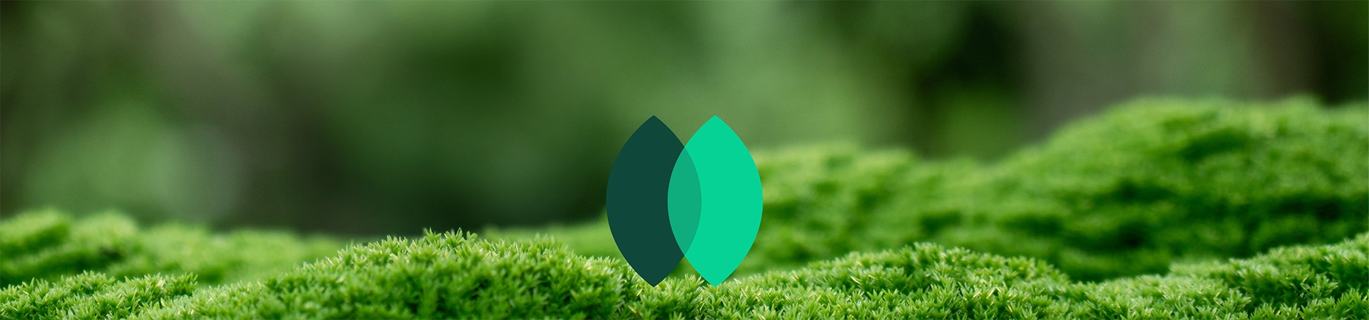 Os seus resíduos podem <br>ser uma fonte de rendimento